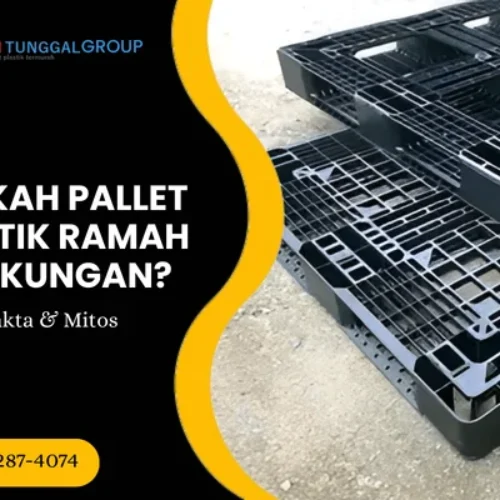 pallet plastik ramah lingkungan