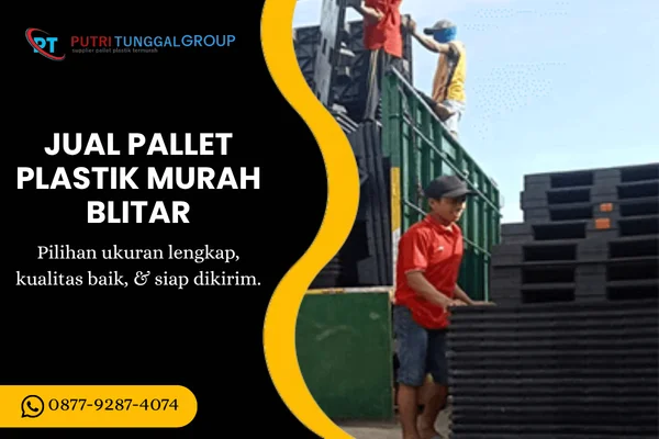 Jual Pallet Plastik Murah Blitar