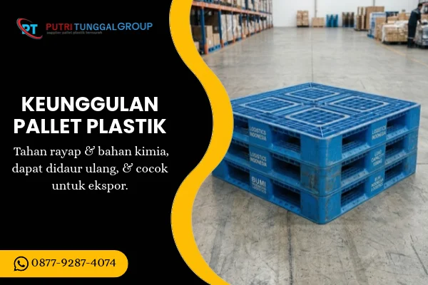 Keunggulan Pallet Plastik
